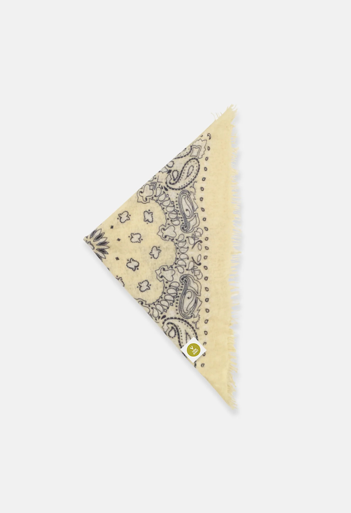 Tuch Bandana Paisley AA