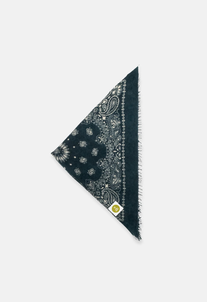 Tuch Bandana Paisley AAB