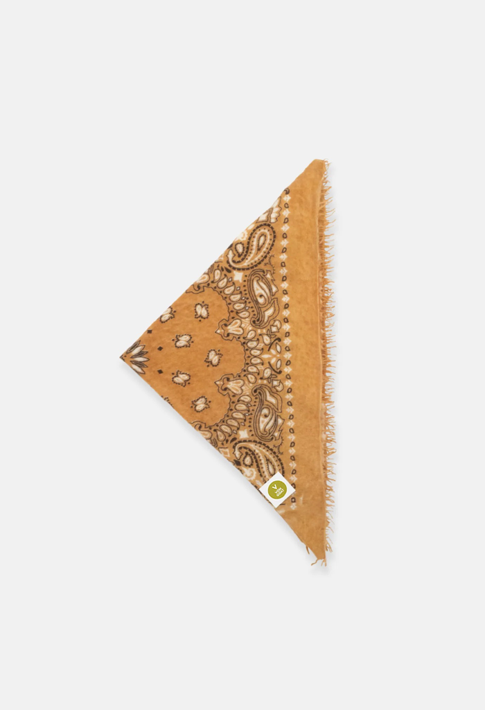 Tuch Bandana Paisley AX