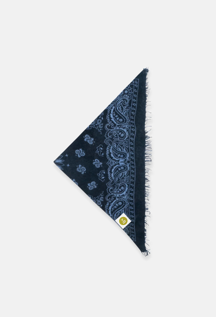 Tuch Bandana Paisley AL