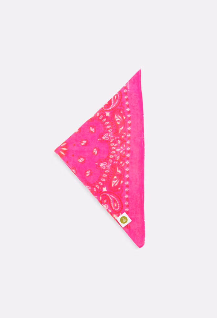 Tuch Bandana Calvina Paisley E Pink