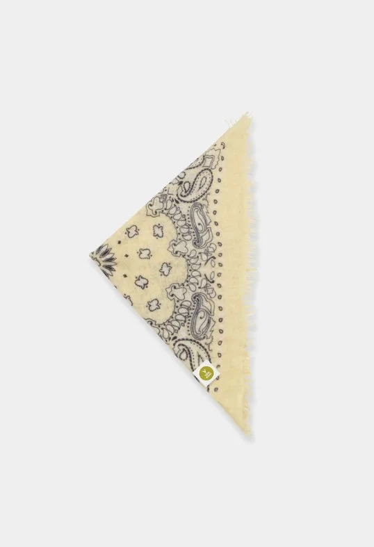 Tuch Bandana Paisley AA