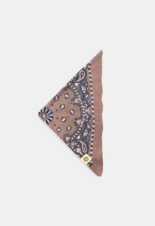 Tuch Bandana Calvina Paisley H Braun