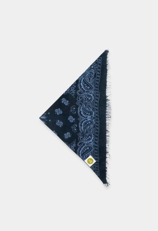 Tuch Bandana Paisley AL