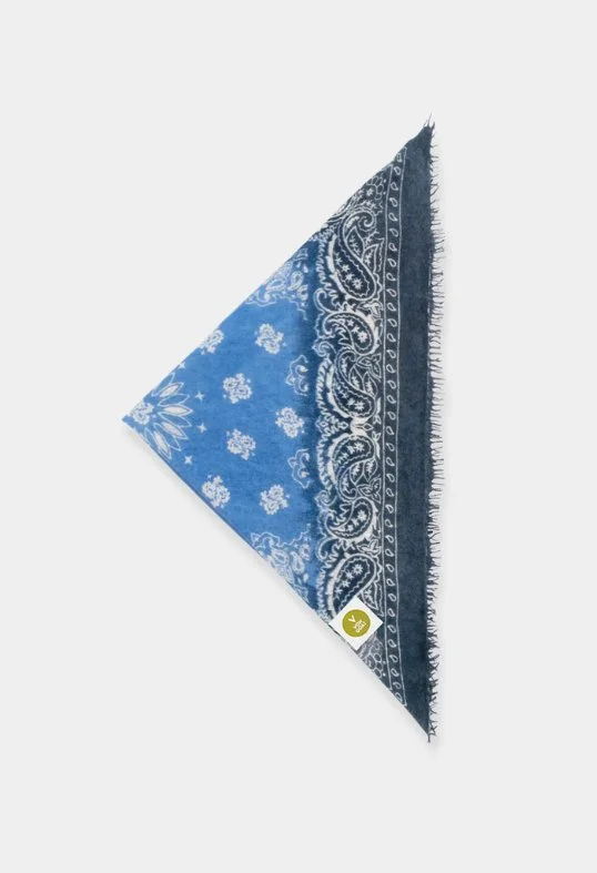Tuch Bandana Paisley AH XL